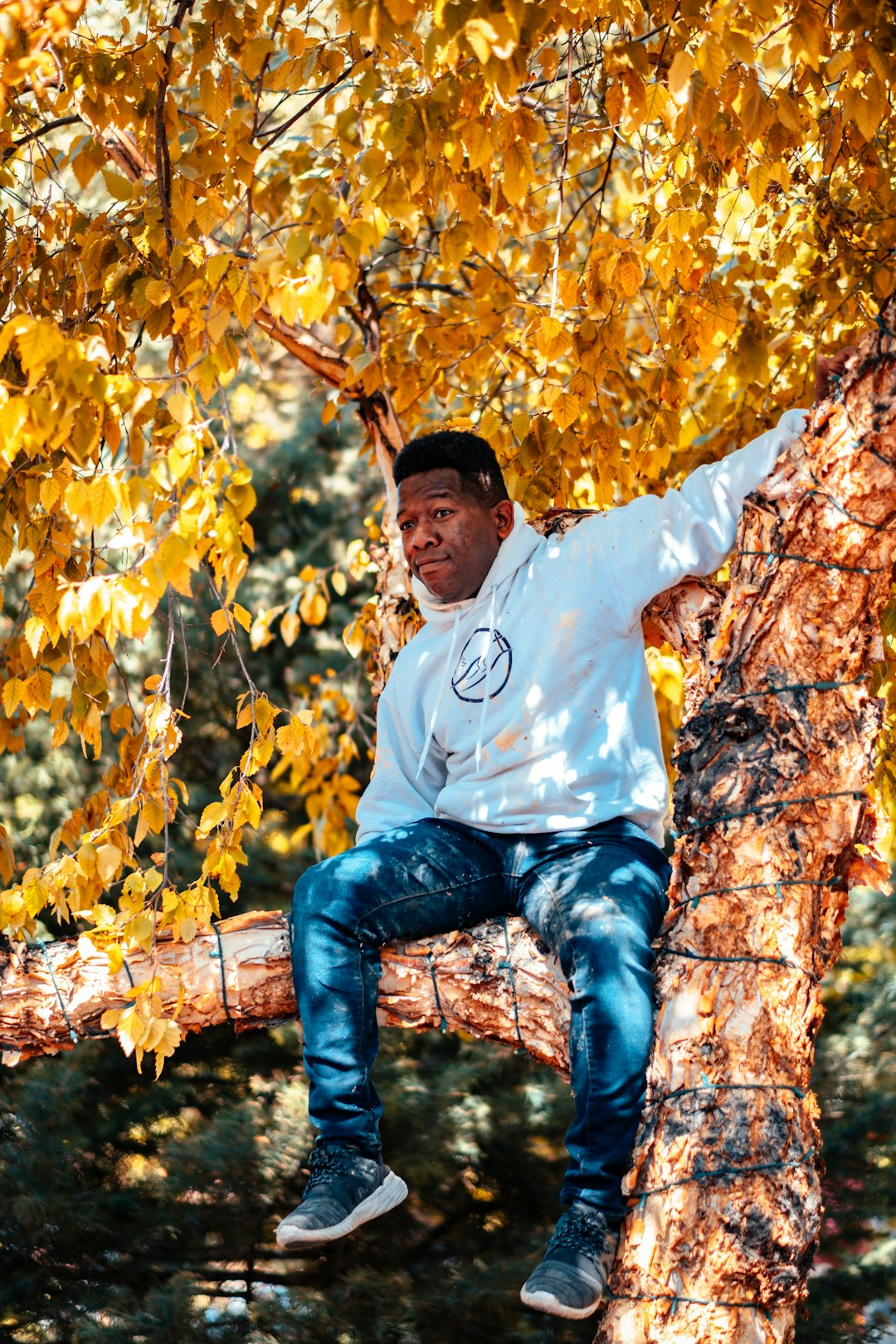 man sitting on tree branch during daytime