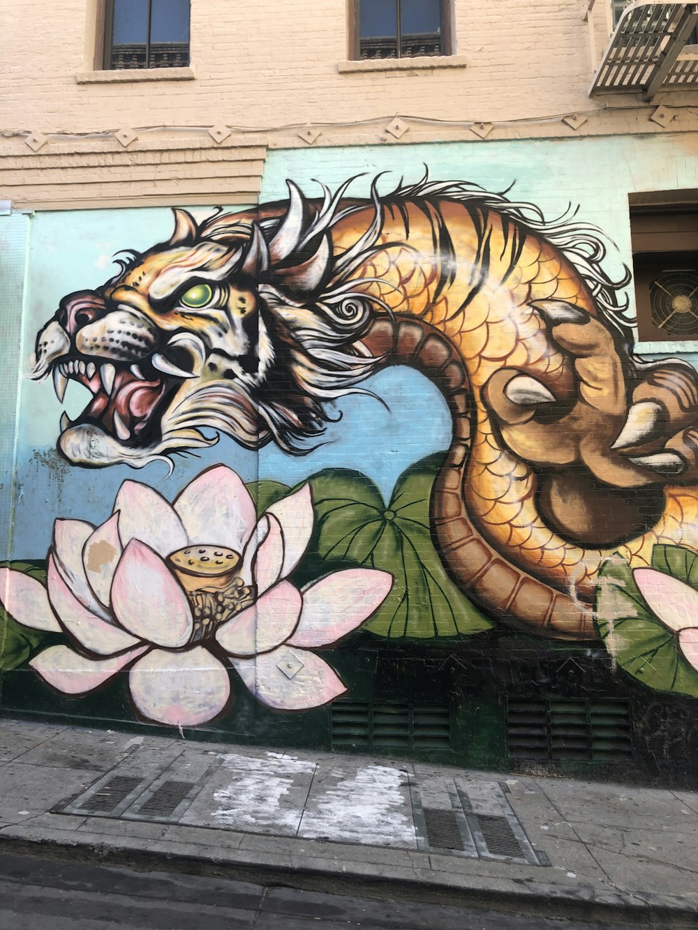 multicolored dragon graffiti art on concrete wall