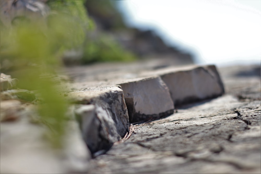 macro photography of gray pavement