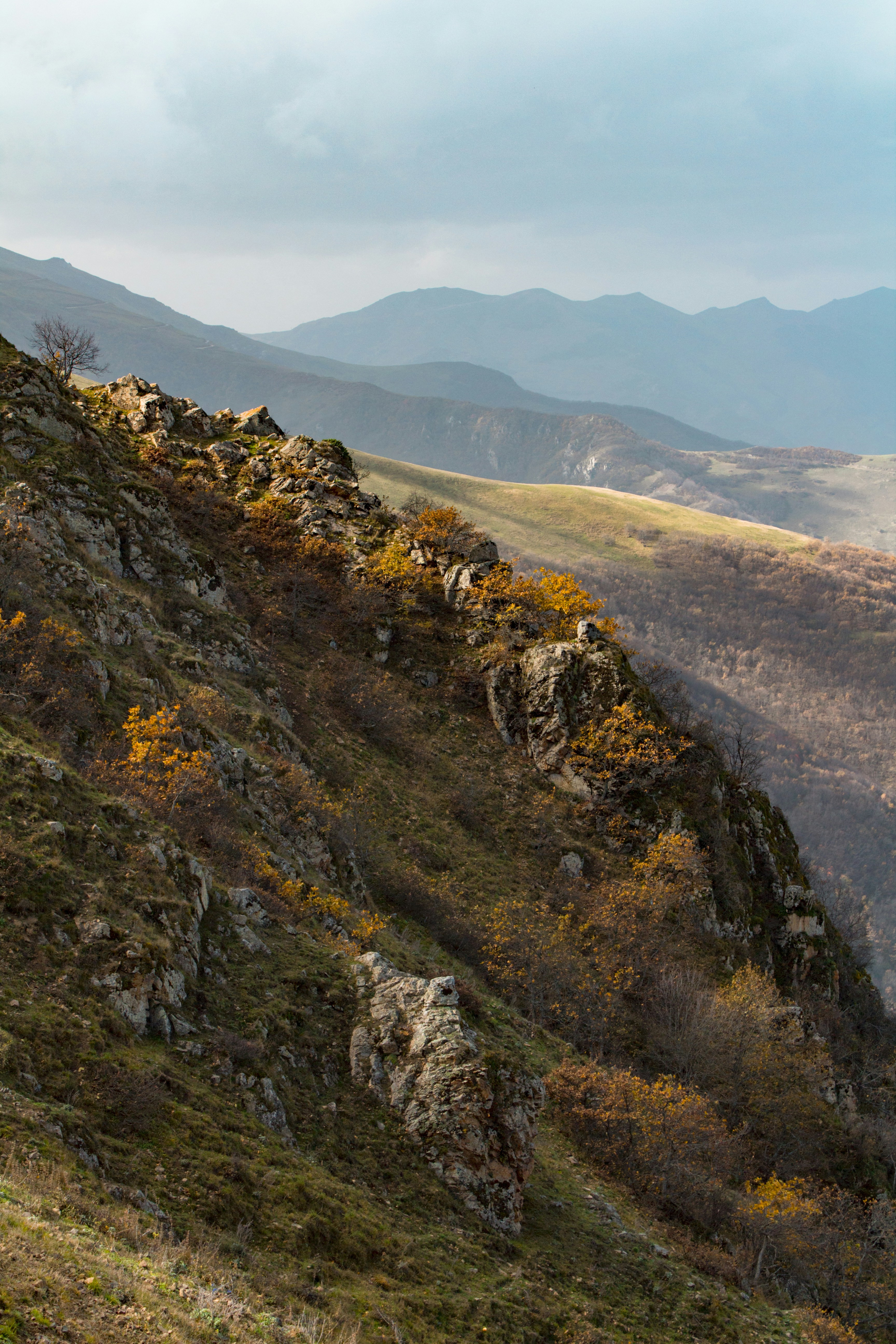 Photo by m_amirahmadi