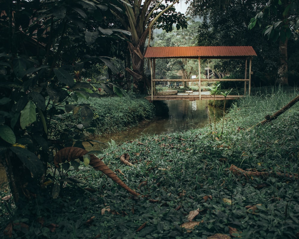 brown shed between trees