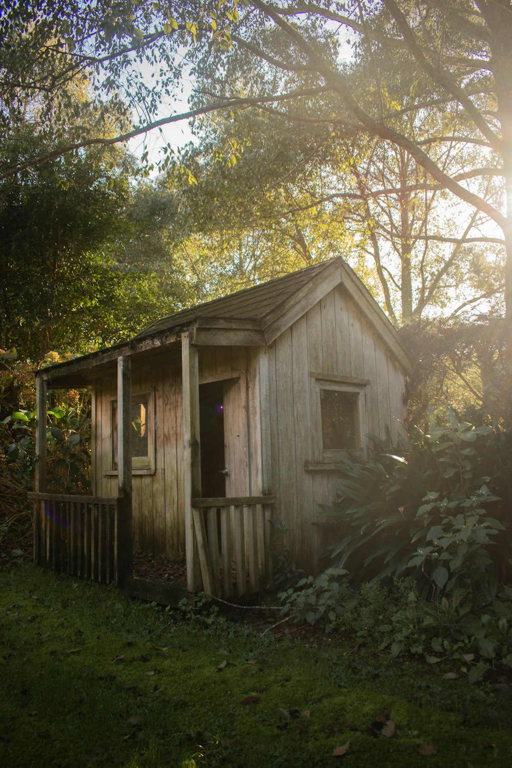 brown house near trees