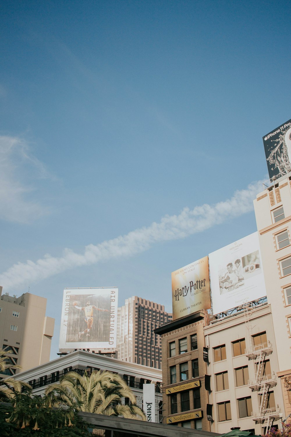 trees and buildings