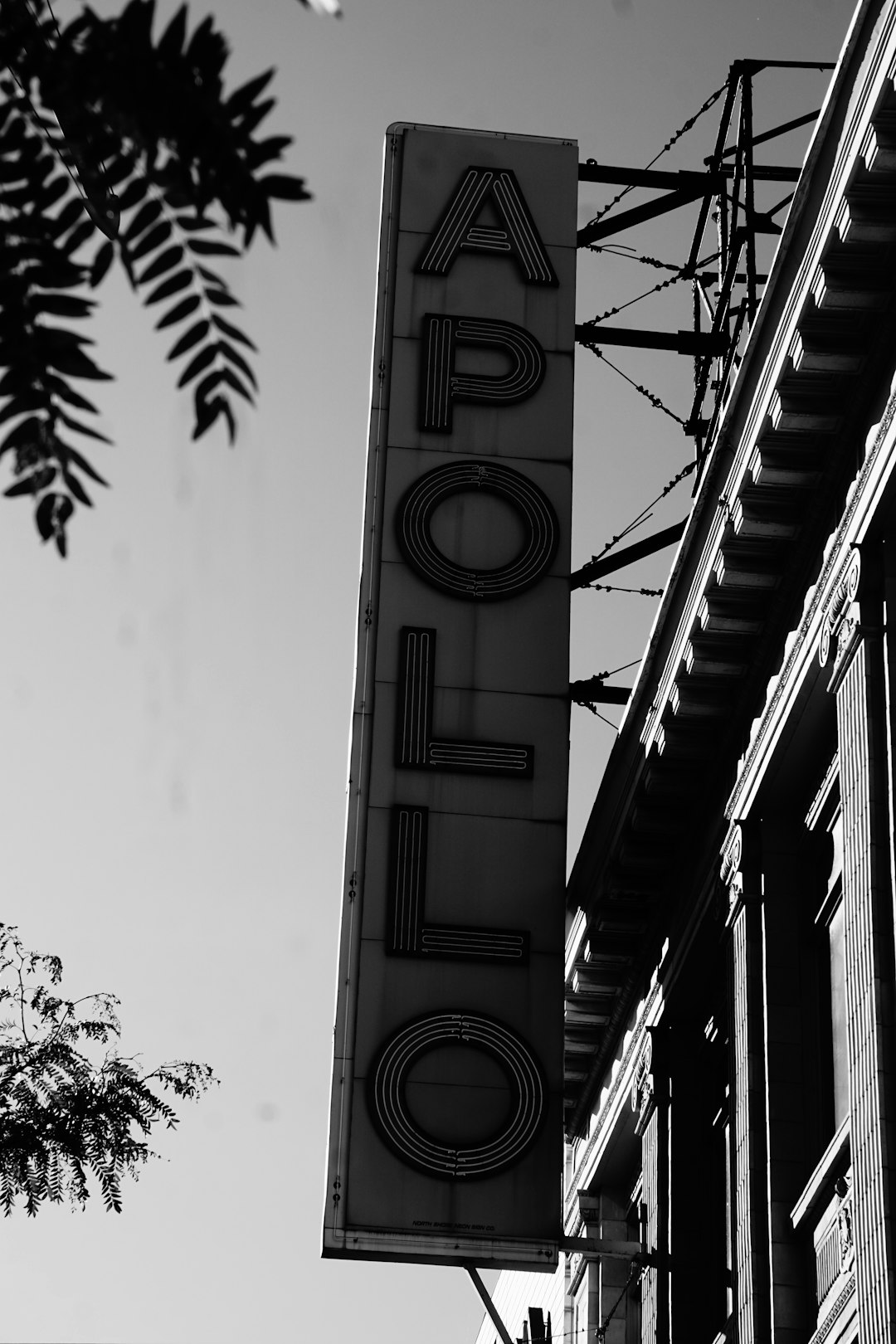 Apollo neon signage on wall