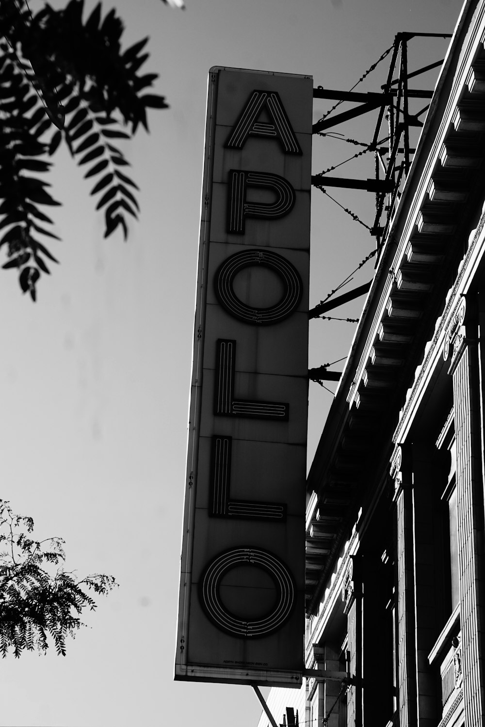 Apollo neon signage on wall