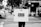 A person stands on a city street holding a large rectangular sign that reads 'BLICK' with a website address below it. The scene includes cars in the background, a crosswalk, trees, and buildings along the sidewalk, all captured in black and white.