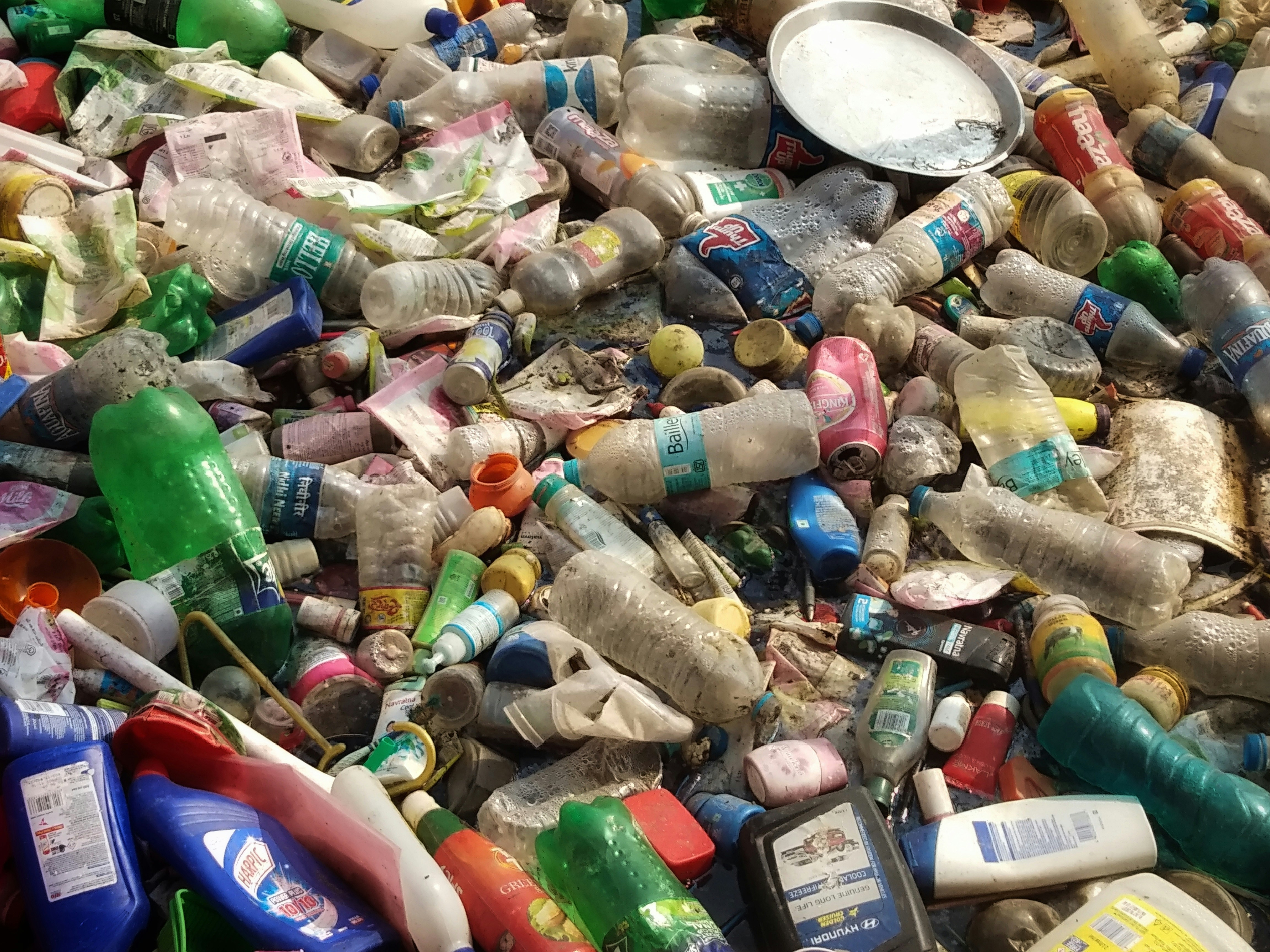 Toxic Chemicals to Watch Out For: Hormone Disruptors on the Rise