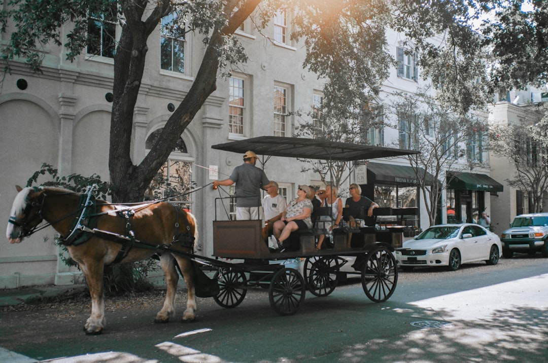 person riding carriage