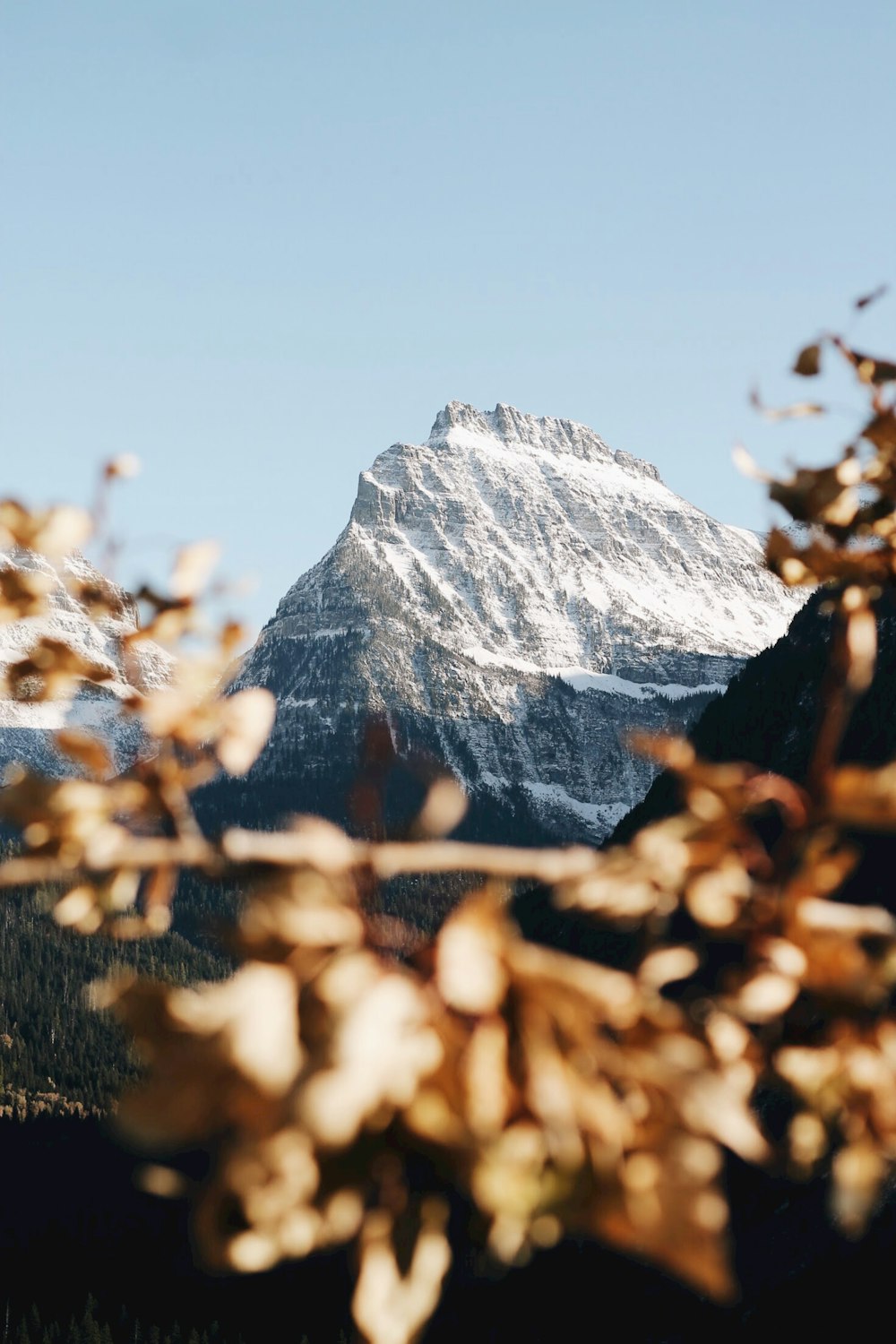 photography of mountain range during daytime