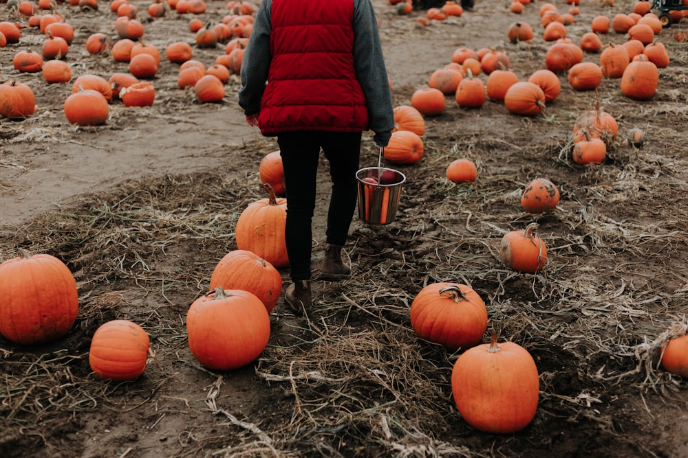 person surrounded with orange pumpkins