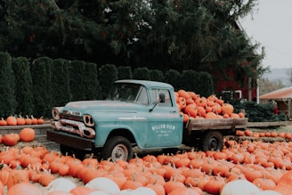 green single cab pickup truck carrying squash