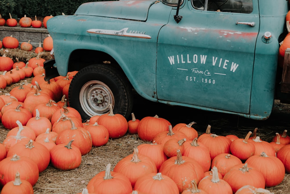 orange pumpkins