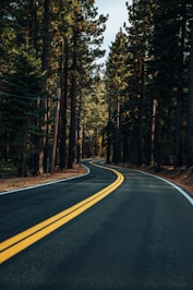 brown road between trees during daytime