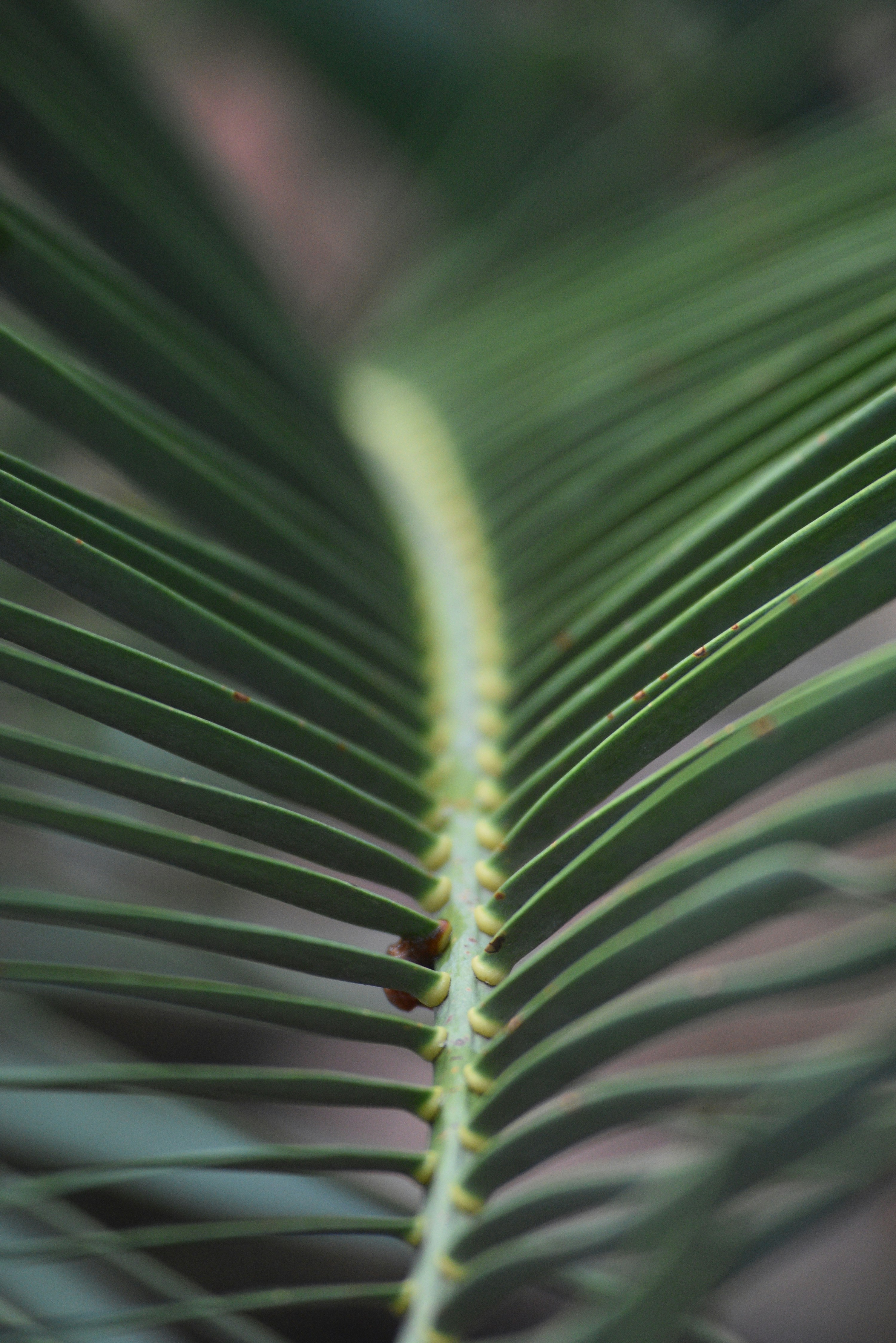 Photo by michellem18