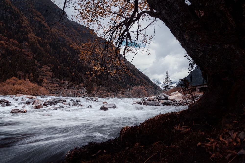 river, mountains, and trees during day