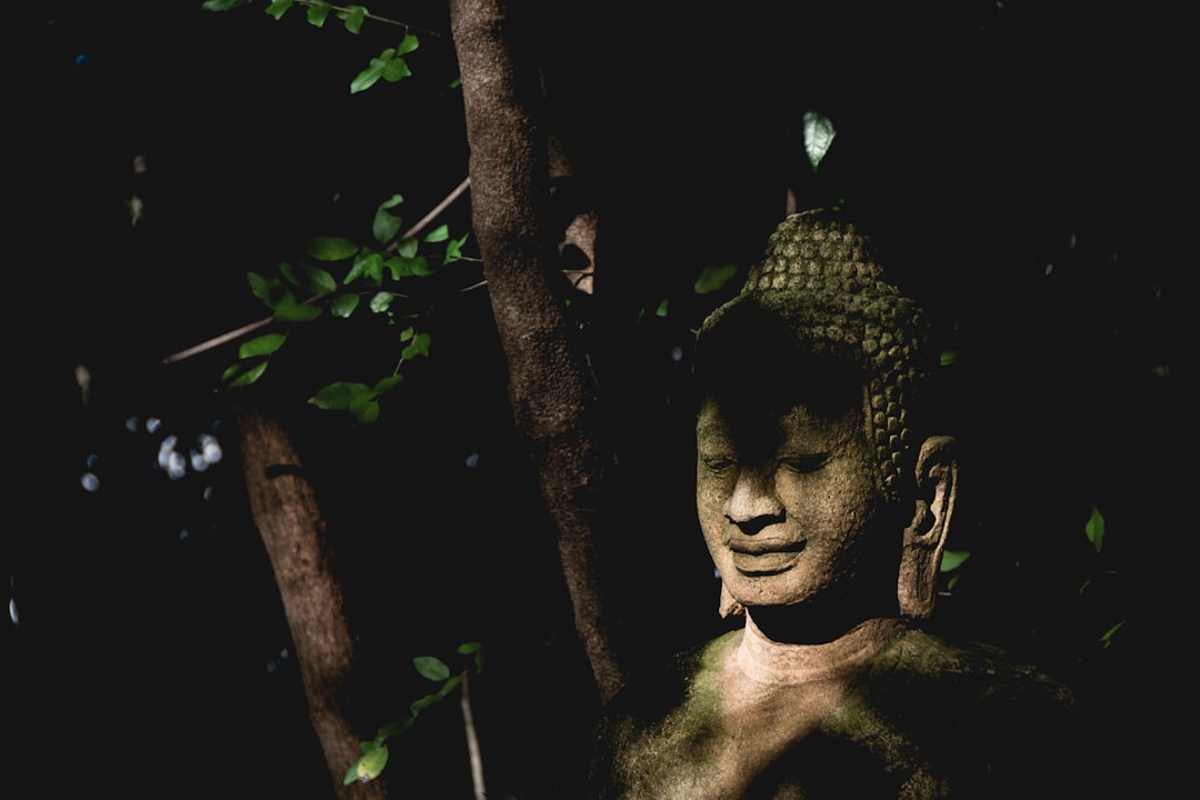 shallow focus photo of Gautama Buddha statue