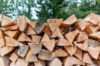 brown firewood lot