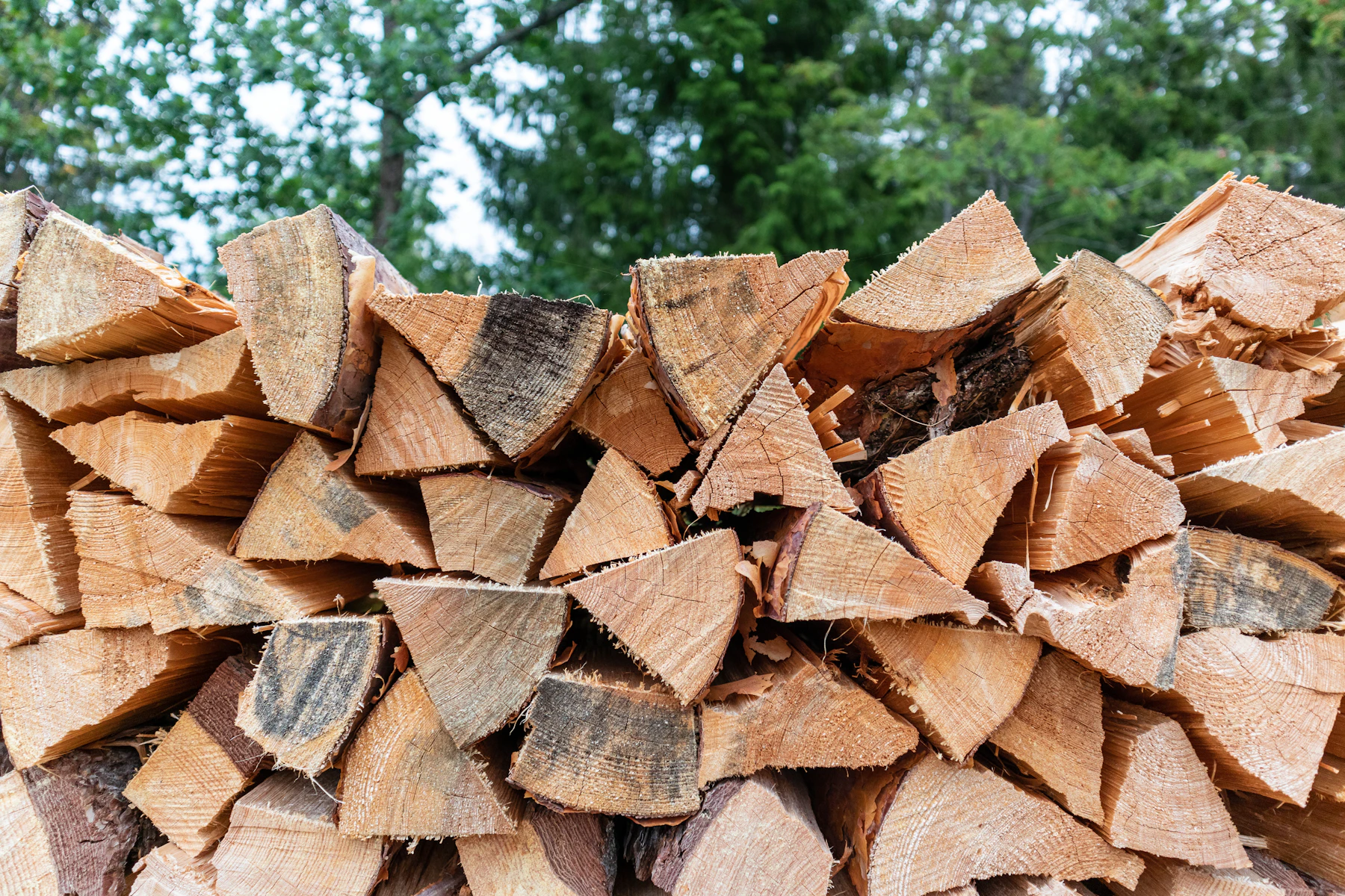 Rows of split, seasoned firewood stacked and ready for delivery