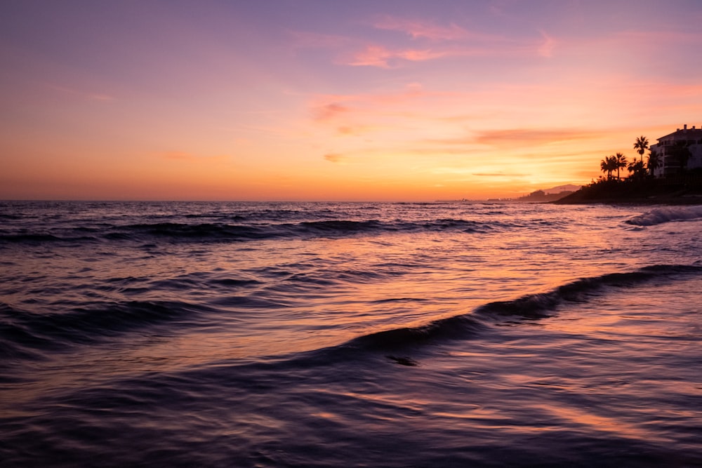 seashore during golden hour