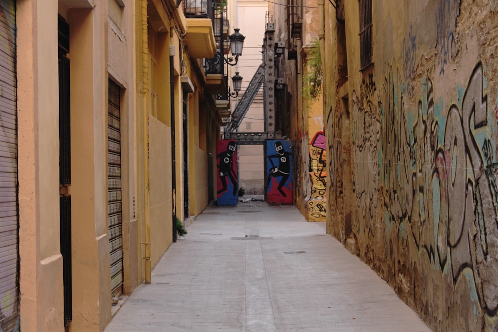 pathway in middle of buildings