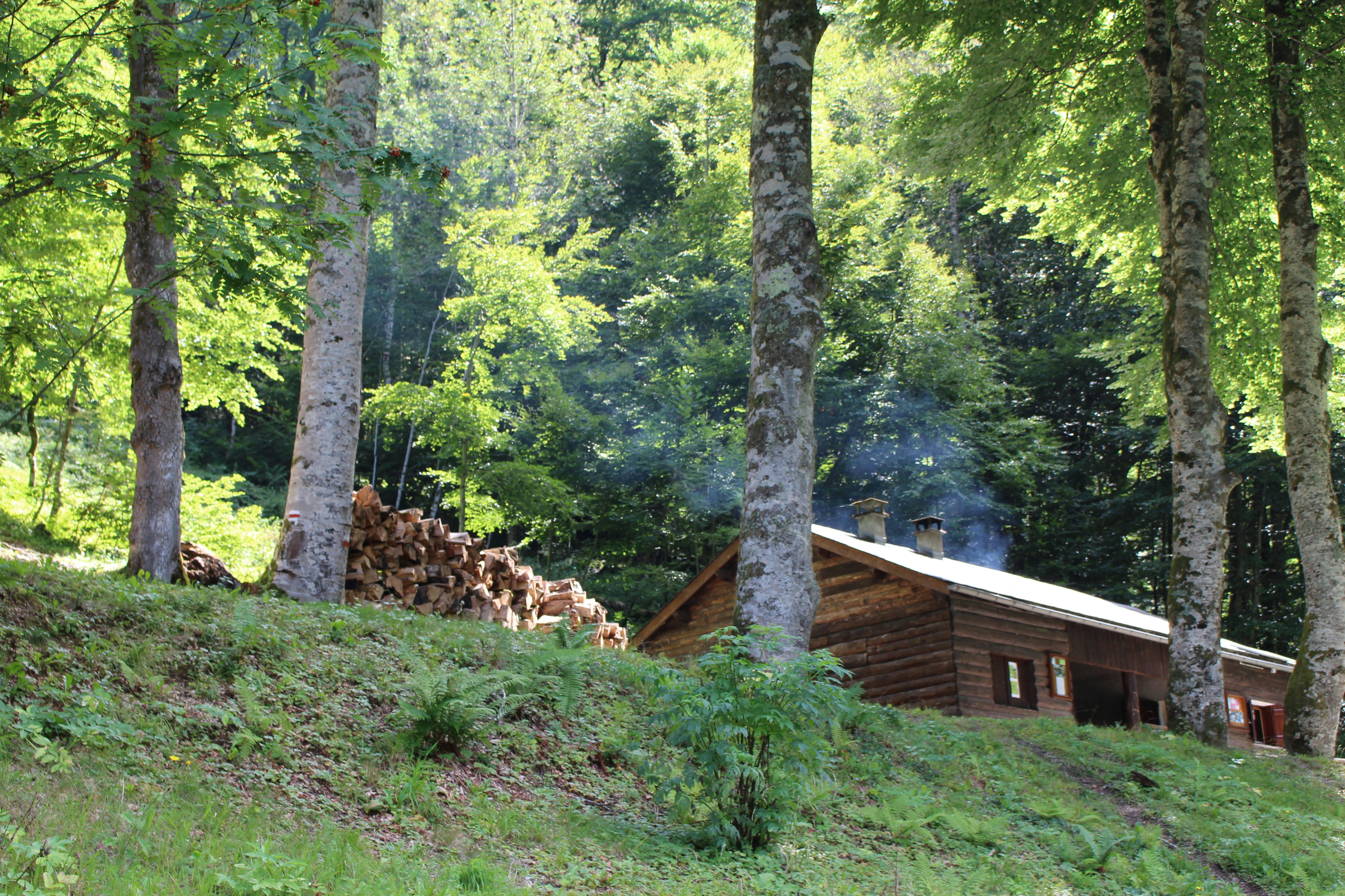 Charming Weekend Retreat