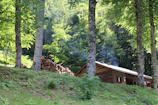 A charming wooden cabin surrounded by lush green forest with smoke gently rising from the chimney.