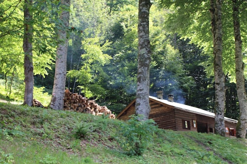 A sturdy cabin nestled in the mountains with smoke rising from the chimney