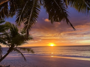 seashore during golden hour
