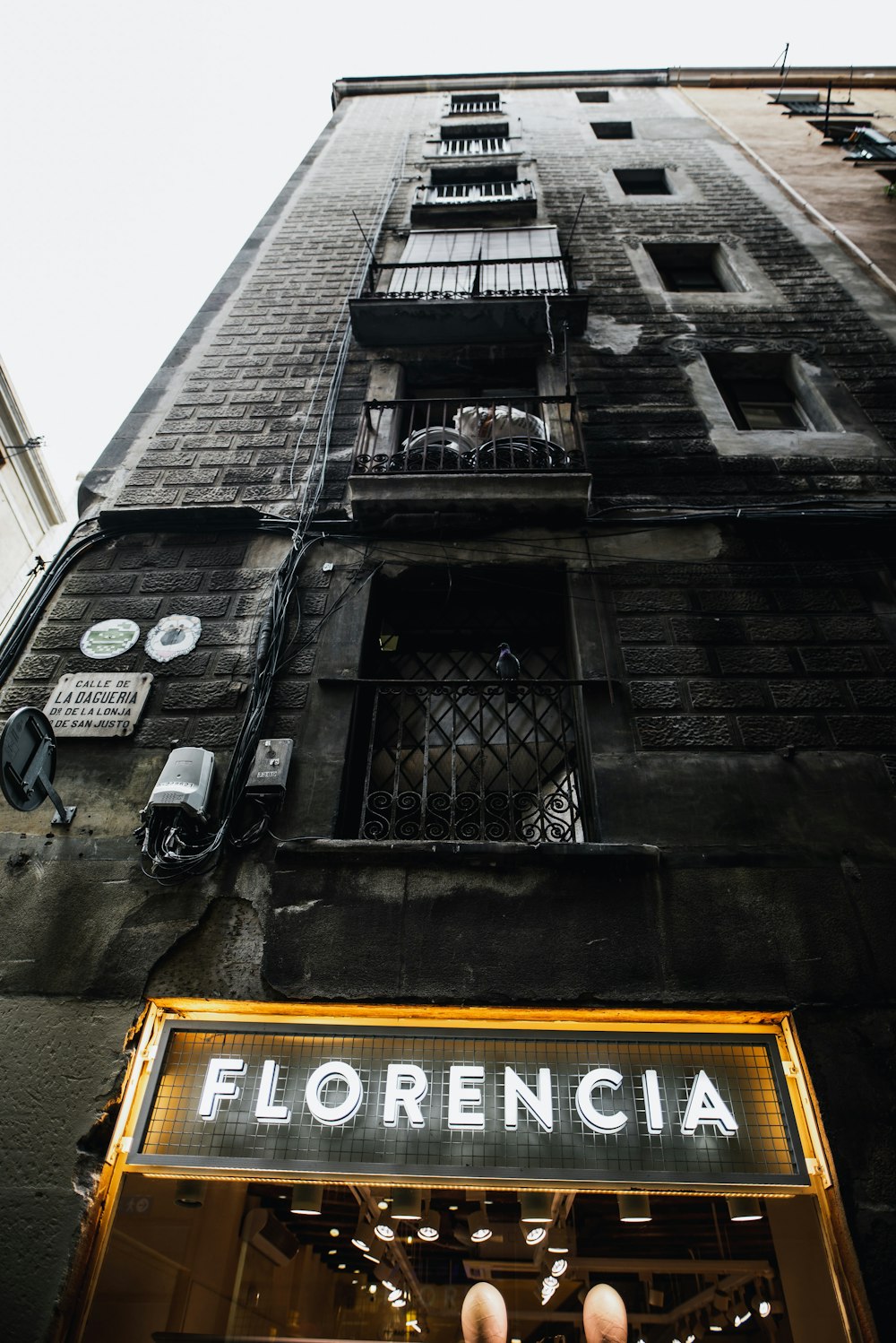 Florencia logo