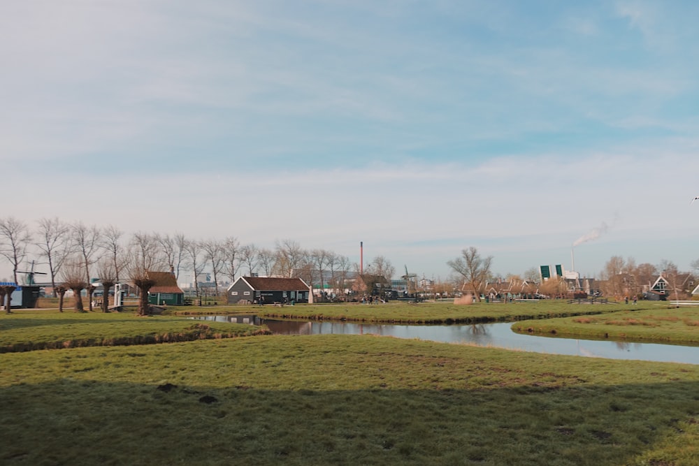 houses on grass field at daytime