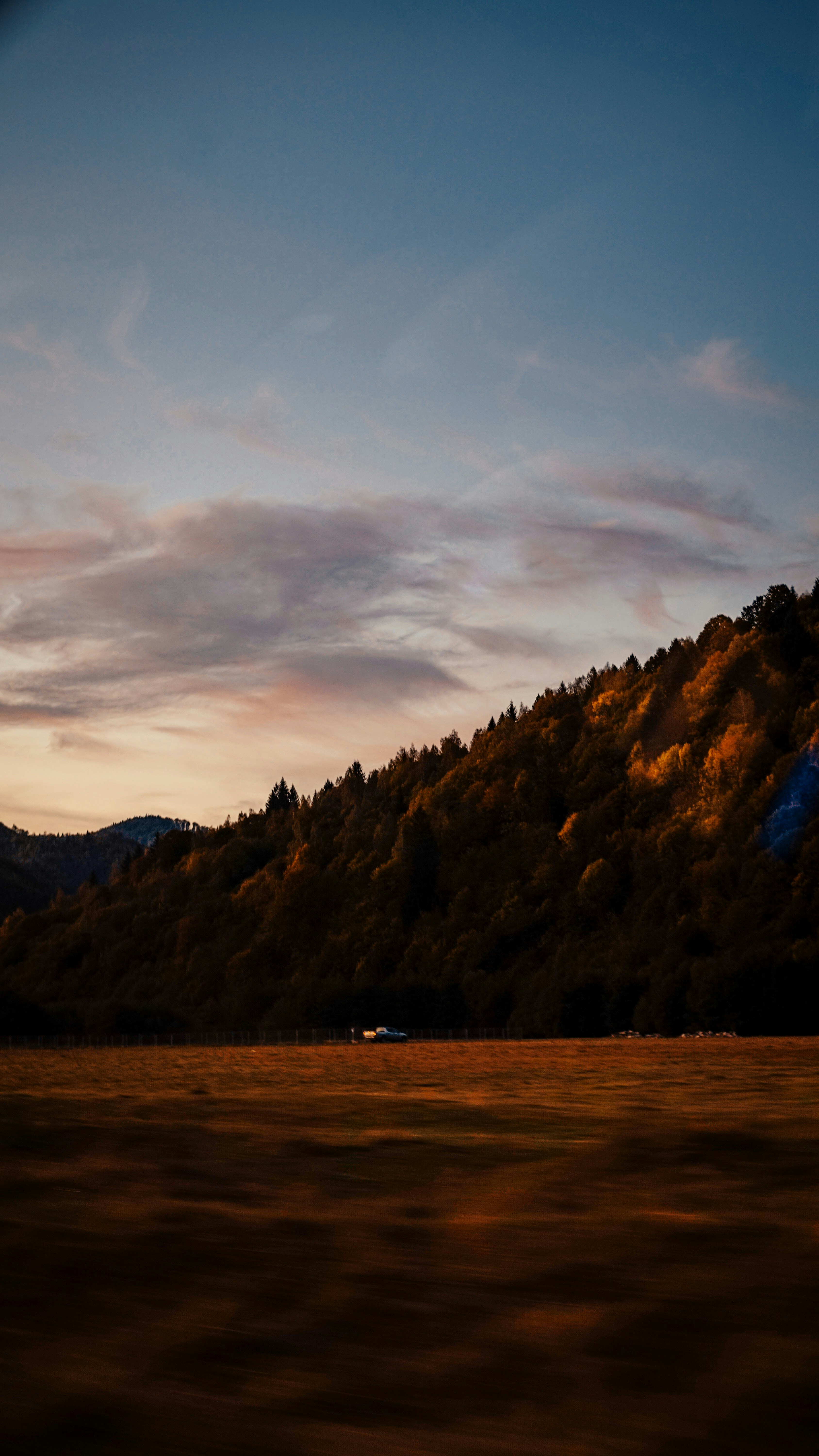 ブラウンヒルズ