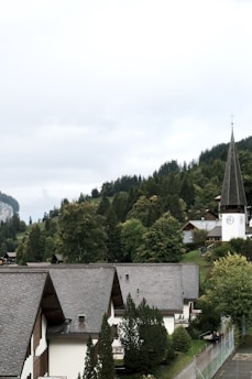 A scenic village nestled in a hilly, forested area. Several quaint, traditional buildings with sloped roofs dot the landscape. One prominent tall church tower with a clock faces outward, surrounded by greenery.