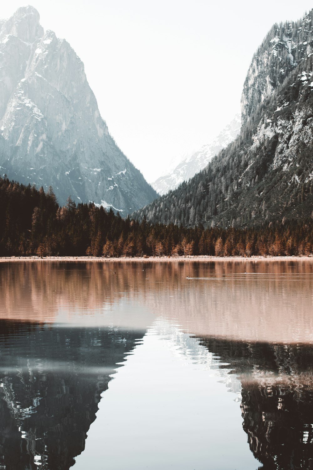 Calme au bord de l’eau près des montagnes