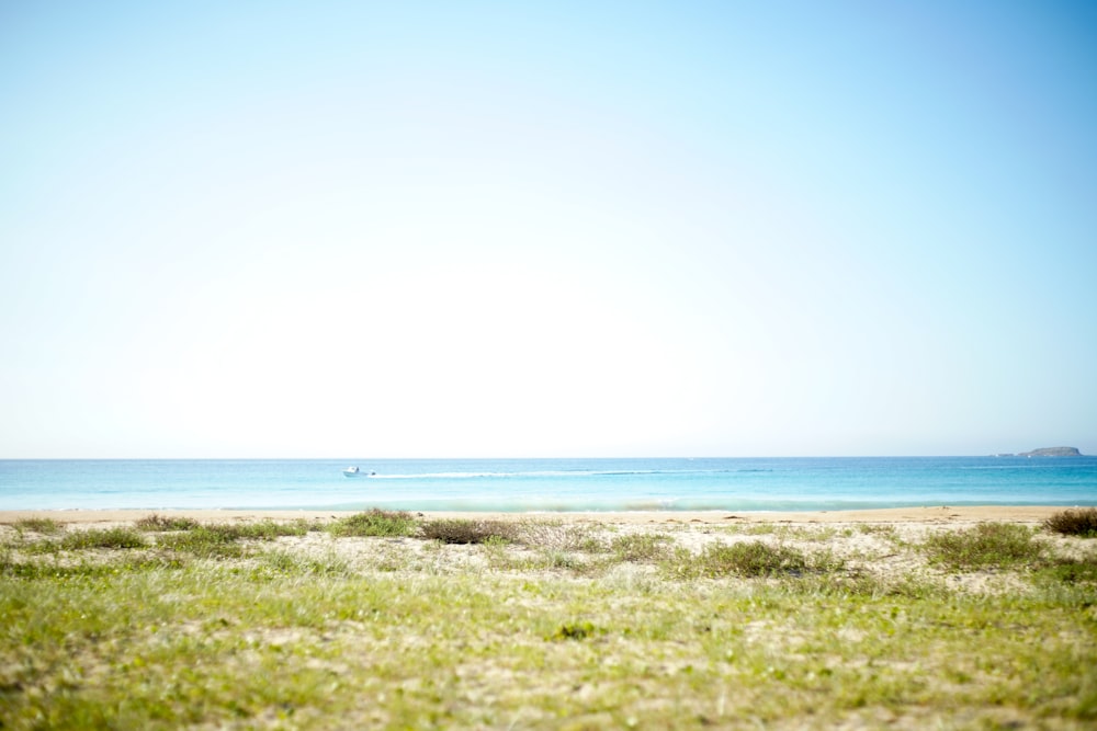 green field viewing blue sea under white and blue sky during daytime