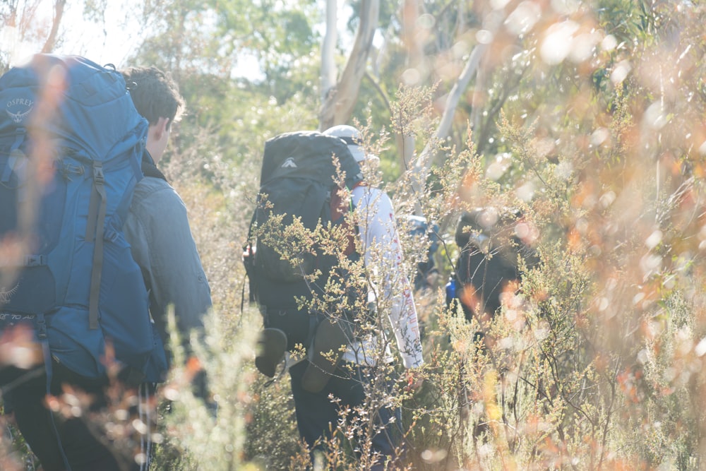 deux personnes marchant près des herbes