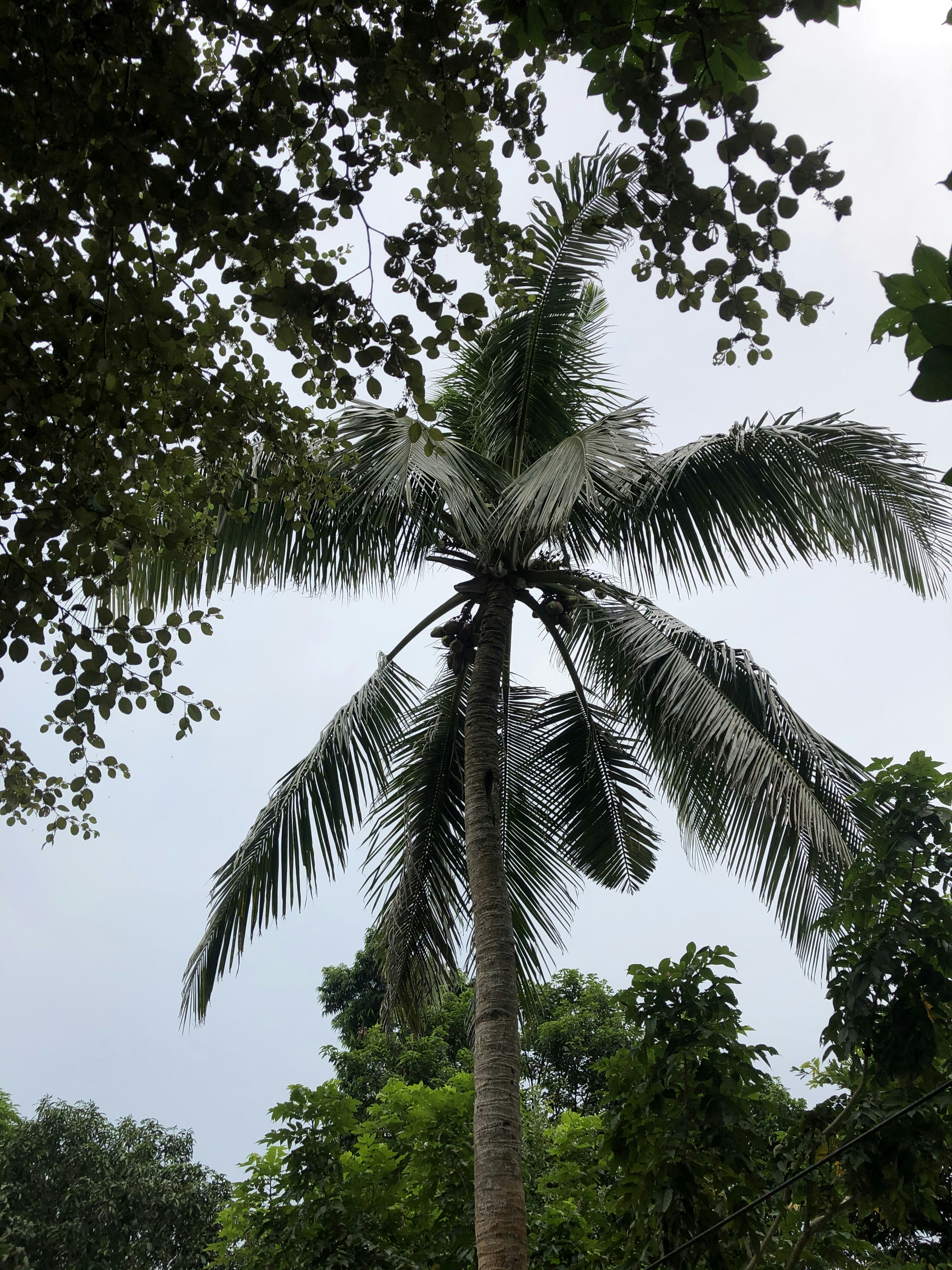 Photo by tanvirislam007