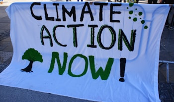 A large white banner displays the bold text 'Climate Action Now!' in black and green. A green tree silhouette is painted alongside the words. The banner appears to be mounted on a metal structure, suggesting it is part of a protest or public demonstration.