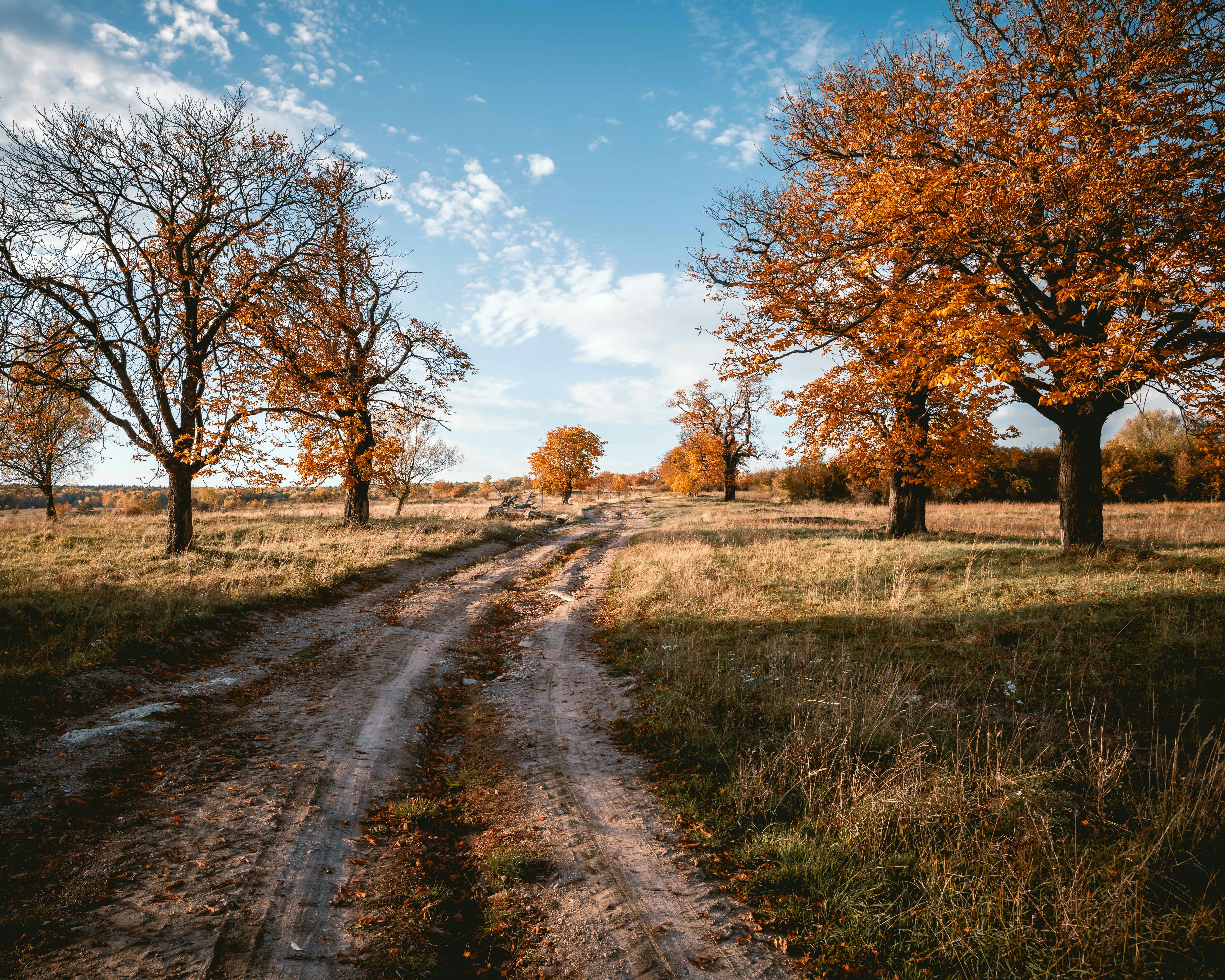 Photo by niklas_hamann