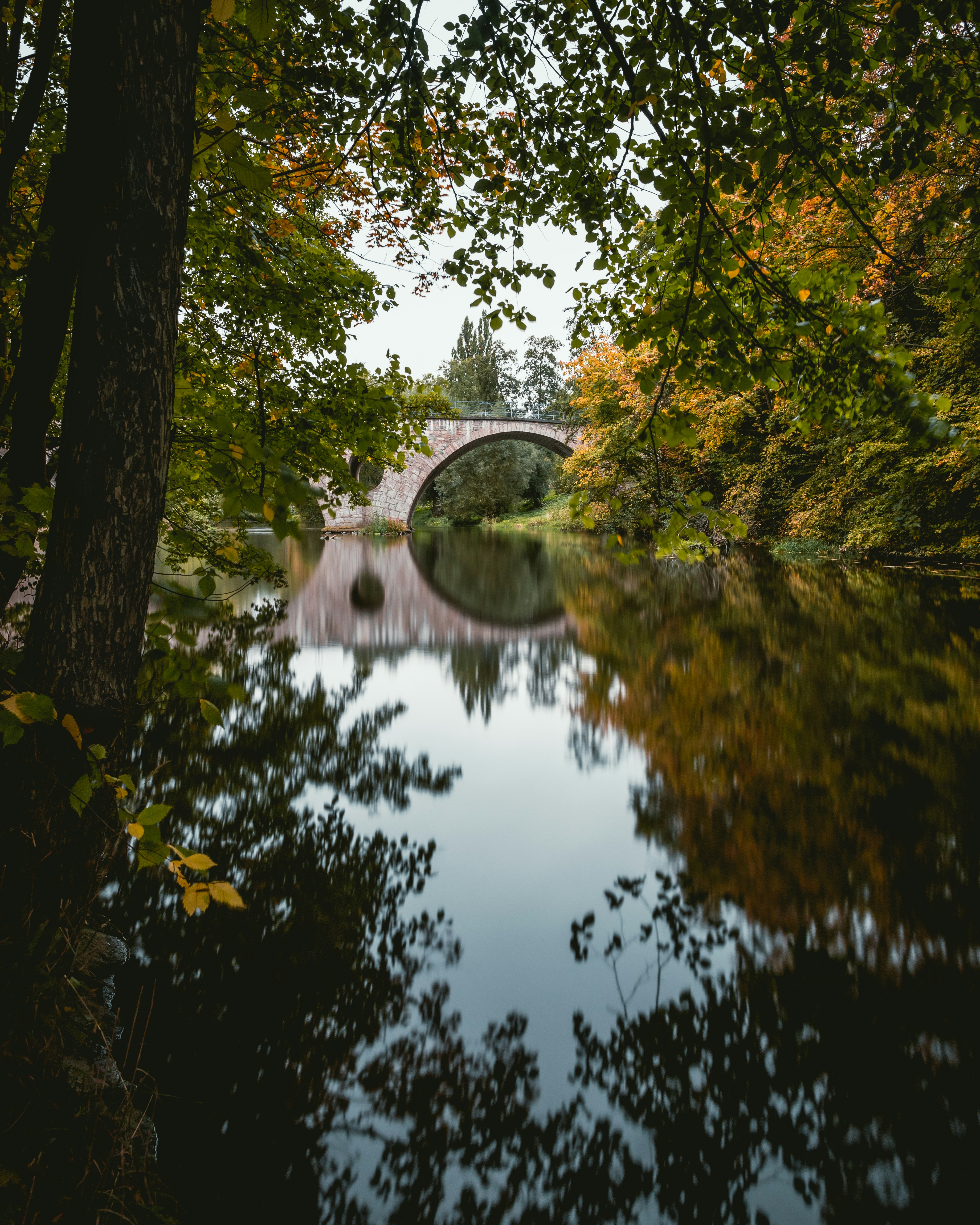 Photo by niklas_hamann