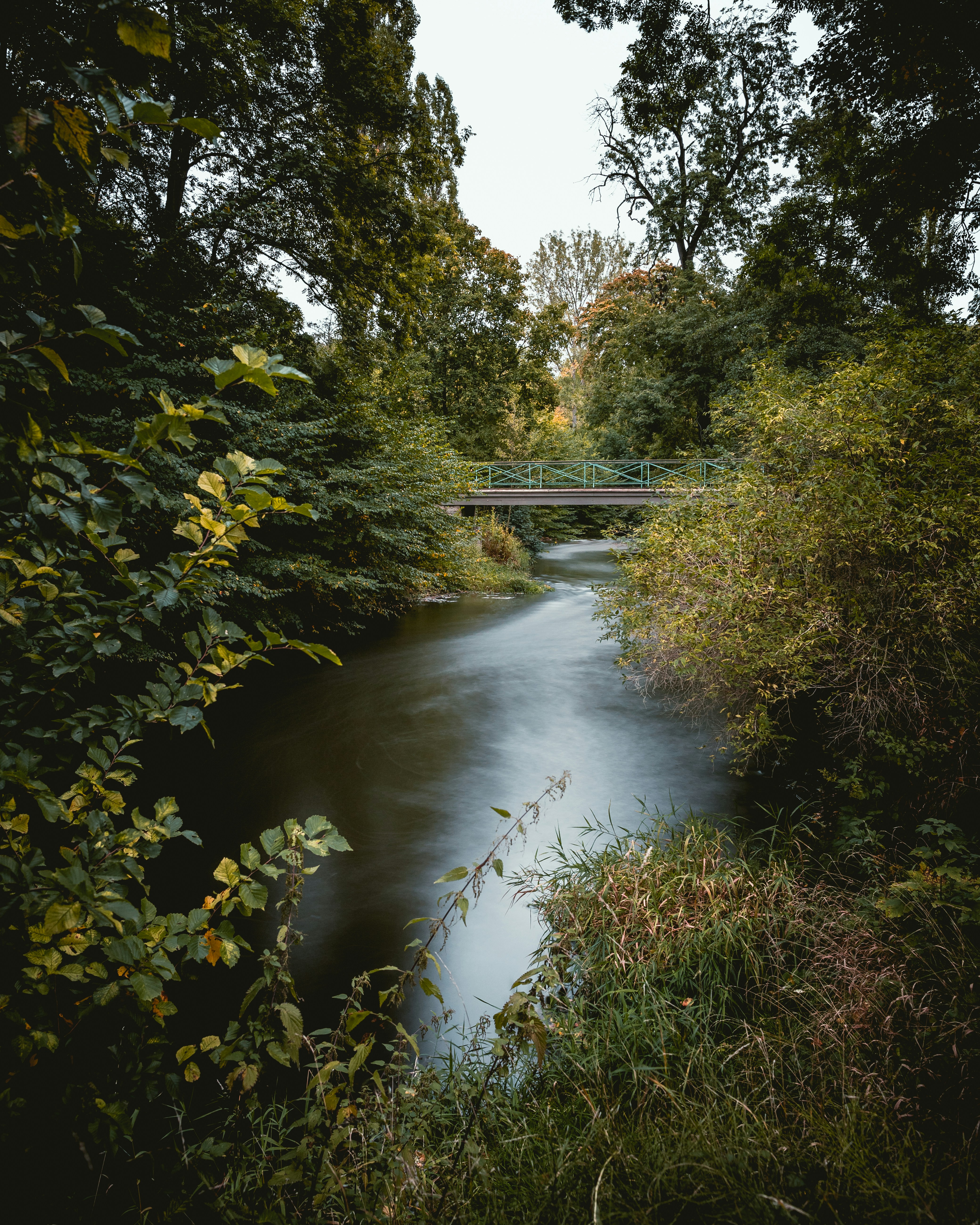 Photo by niklas_hamann