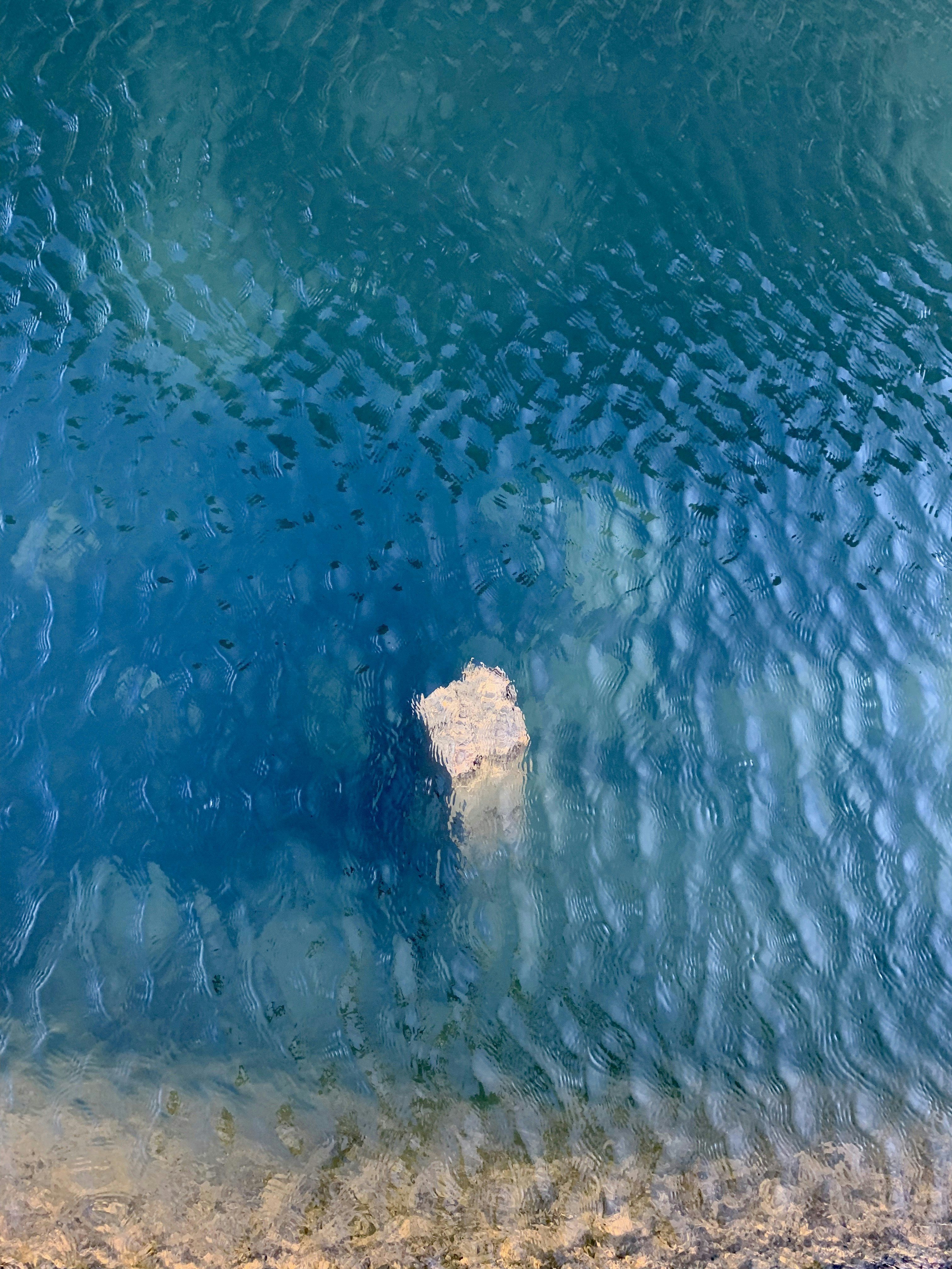 Photo by balakleiets