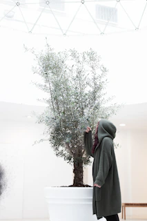A cozy scene of someone wearing a soft organic cotton sweatshirt while tending to a small indoor garden.