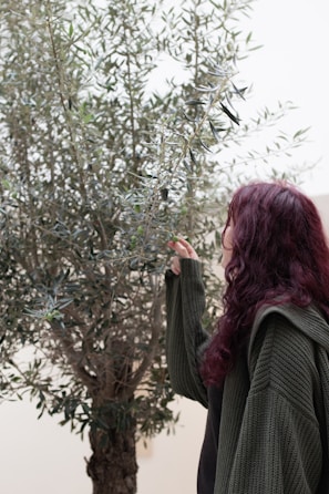 An ISA certified arborist gently inspecting leaves on a young fruit tree.