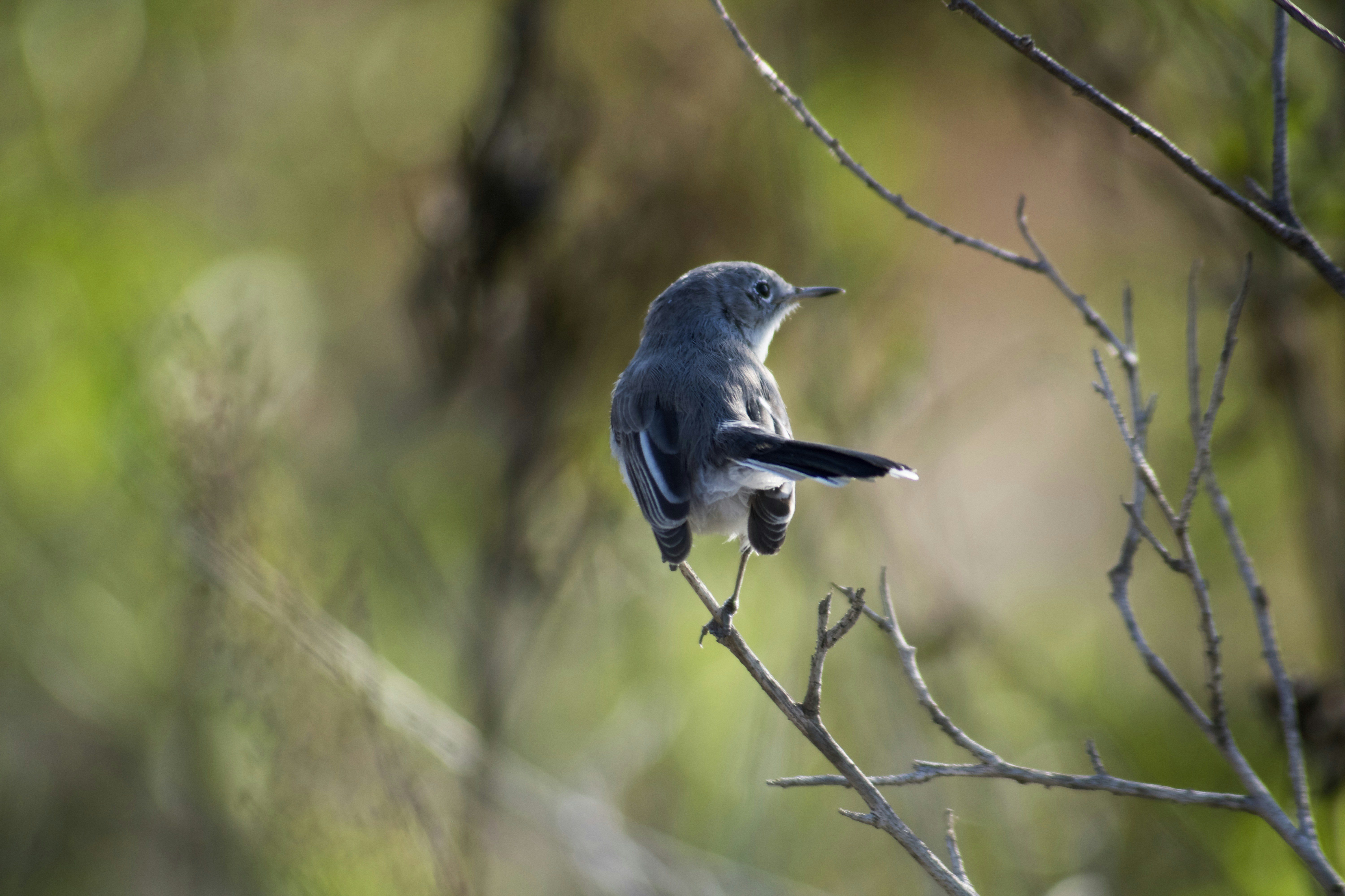 Photo by picsbyjameslee