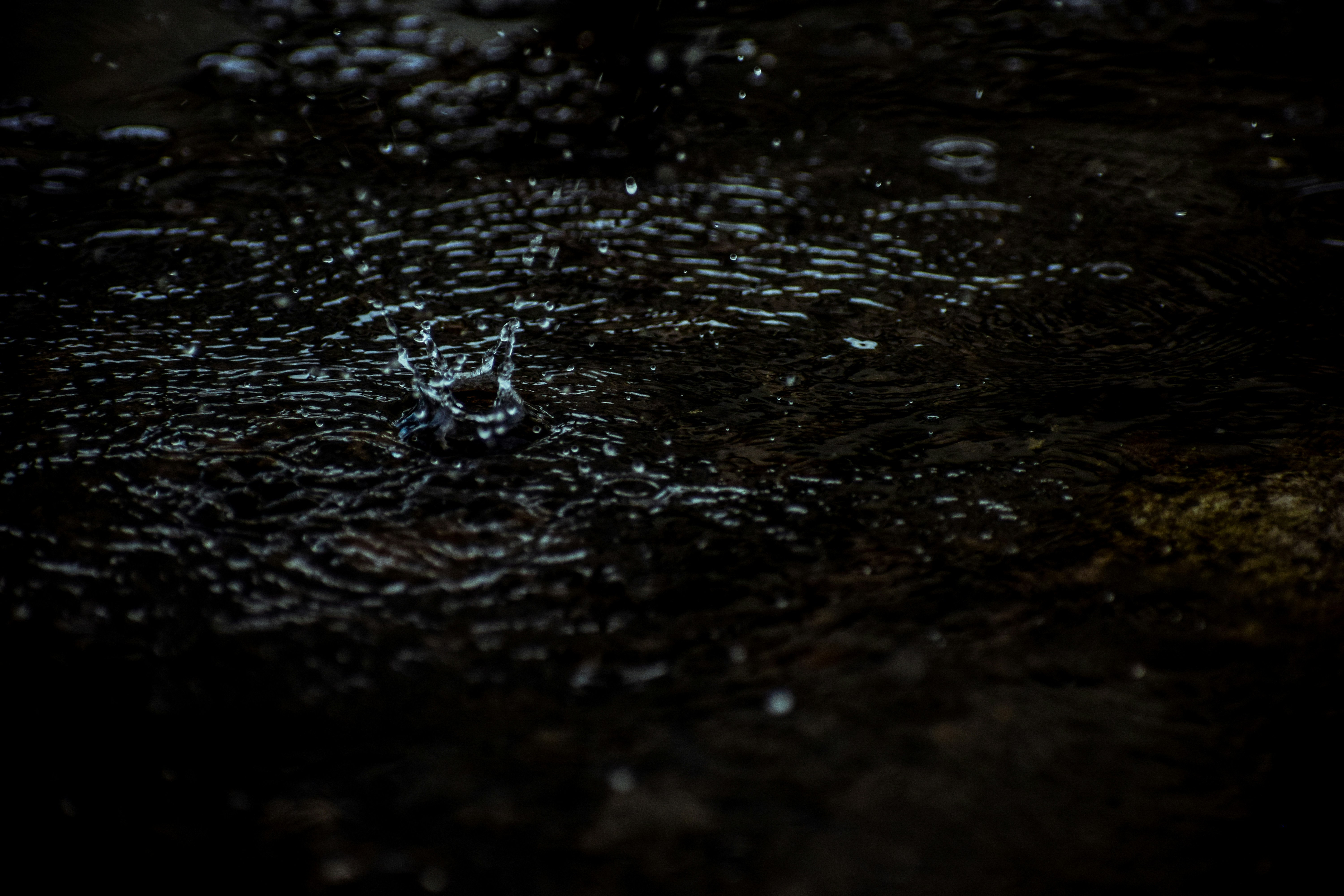 Photo by illxshutter