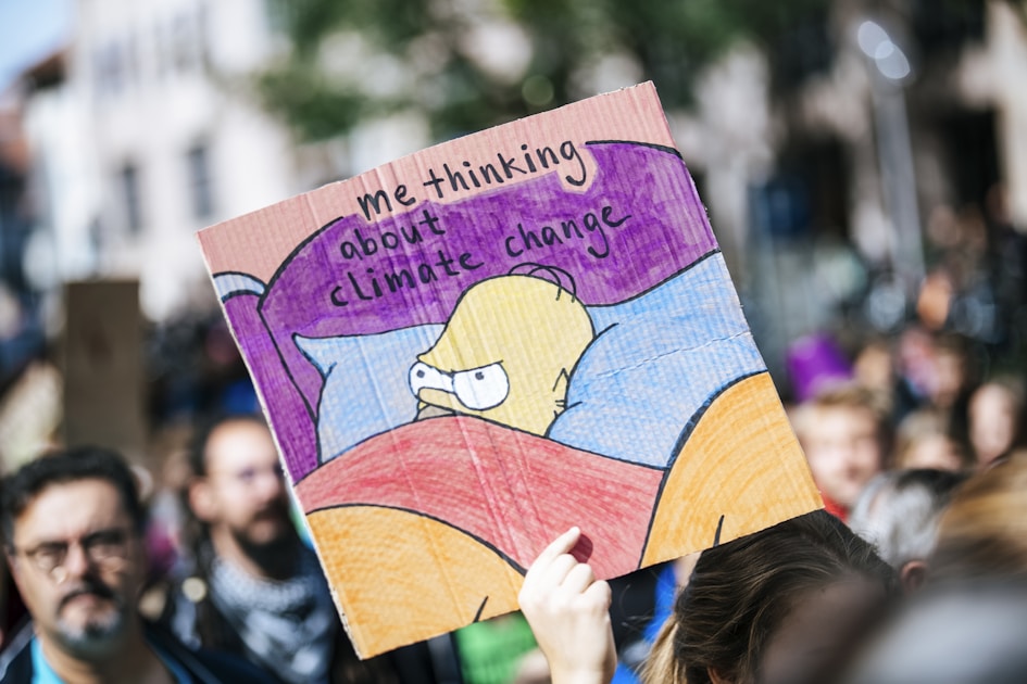 Climate Anxiety Insurance Decisions: What Your Coverage Choices Reveal About Your Environmental Risk Personality