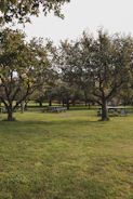 Image of a clean park representing environmental care.