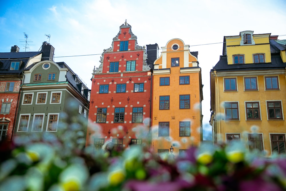 Edificios de colores variados durante el día