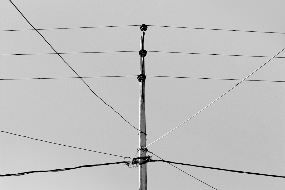 gray electric post, Composition