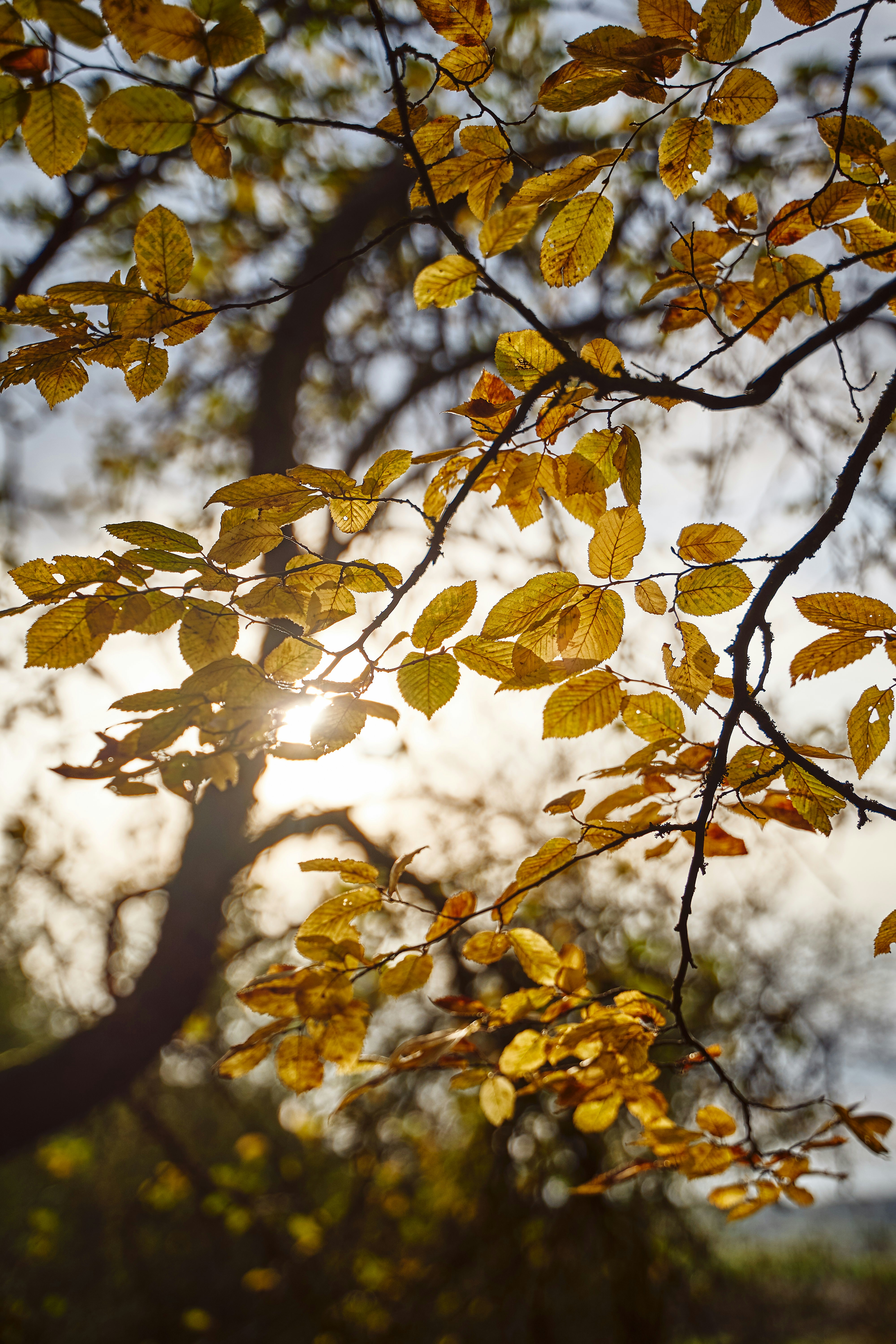 Photo by jhvisuals_de